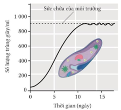 Hình mô tả tóm tắt kiểu tăng trưởng kích thước quần thể: (ảnh 1)