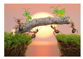 Viết phép tính hoặc số thích hợp vào ô trống. Có 24 con kiến và 14 con châu chấu. (ảnh 1)