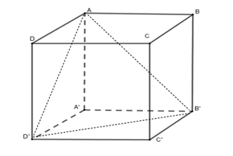 Cho hình hộp ABCD.A'B'C'D' (tham khảo hình vẽ bên dưới). (ảnh 1)