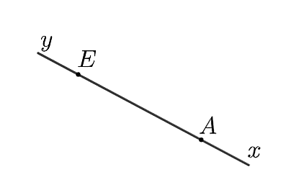 Hình vẽ dưới đây có tất cả bao nhiêu tia (các tia trùng nhau chỉ tính 1 lần)? (ảnh 1)