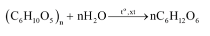 Các nhận định dưới đây có bao nhiêu nhận định đúng?  (a) Phản ứng điều chế polyethylene từ ethylene là phản ứng trùng hợp. (ảnh 3)