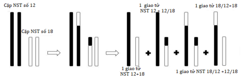 A diagram of a number of lines

AI-generated content may be incorrect.