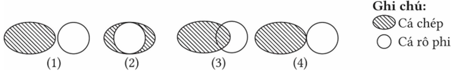 Cá chép có giới hạn sinh thái về nhiệt độ khoảng 2 – 44 °C trong khi cá rô phi có giới hạn sinh thái về nhiệt độ khoảng 5,6 – 42 °C. Hình ảnh minh họa số bao nhiêu mô tả đúng sự phân bố của 2 loài? (ảnh 1)