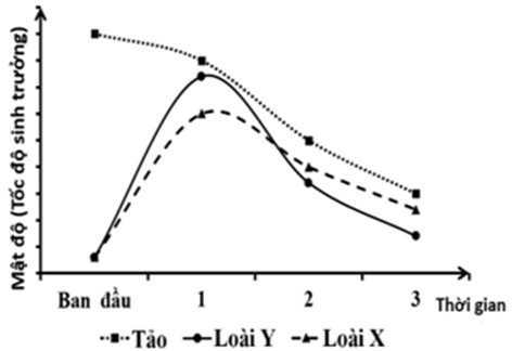 Ở một đồng ruộng có 2 loài sên biển X và Y là động vật ăn tảo. Một thí nghiệm được tiến hành để tìm hiểu tác động của mật độ sên biển lên khả năng sinh trưởng của chúng  (ảnh 1)