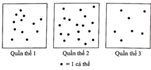 Khi nghiên cứu một quần thể của loài X đã nhận thấy số lượng cá thể tối đa mà môi trường có thể cung cấp nguồn sống là 1 cá thể/8 km2. (ảnh 1)