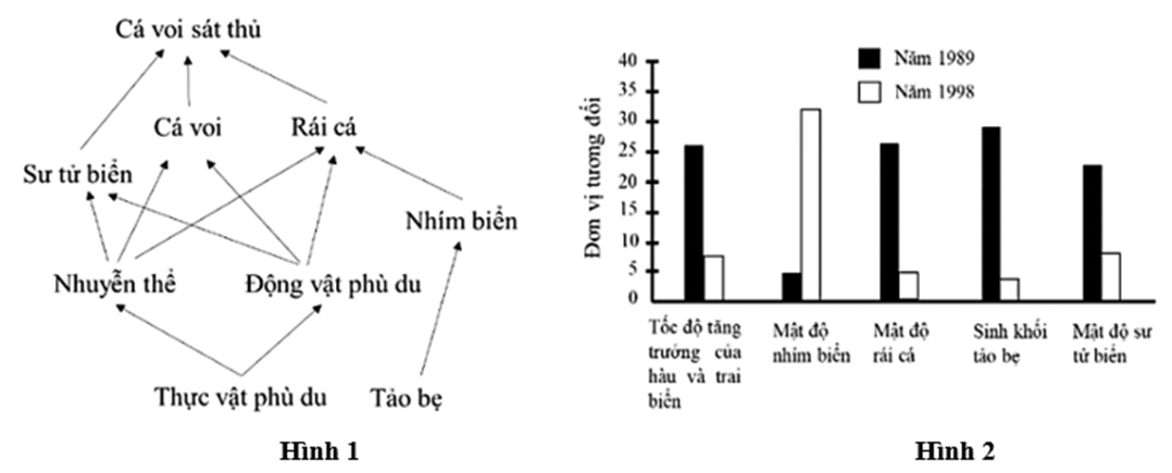 Hình 1 thể hiện một phần lưới thức ăn ở quần đào Aleut thuộc biển Thái Bình Dương. Hình 2 thể hiện sự thay đổi số lượng, sinh khối của một số loài trong quần xã trước và sau năm 1997 (ảnh 1)