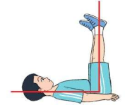 Hình ảnh được tạo ra trong hình dưới đây là góc:   A. Góc nhọn	B. Góc tù	C. Góc vuông	D. Góc bẹt (ảnh 1)