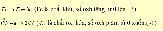 Phát biểu nào sau đây là đúng? (ảnh 2)