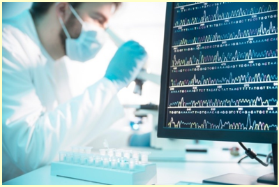 Cho các ứng dụng sau đây: (ảnh 1)