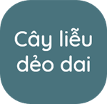 A blue square with white text

AI-generated content may be incorrect.