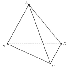 Cho hình tứ diện ABCD như hình vẽ. (ảnh 1)