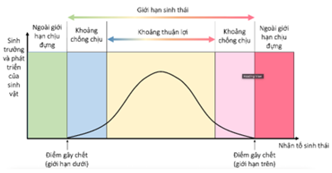 Hình vẽ mô tả giới hạn sinh thái của sinh vật. Có bao nhiêu nhận định sau đây đúng? (ảnh 1)