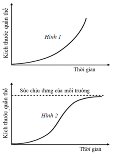 Hình mô tả đường cong tăng trưởng của quần thể sinh vật, hãy cho biết có bao nhiêu phát biểu đúng? (ảnh 1)
