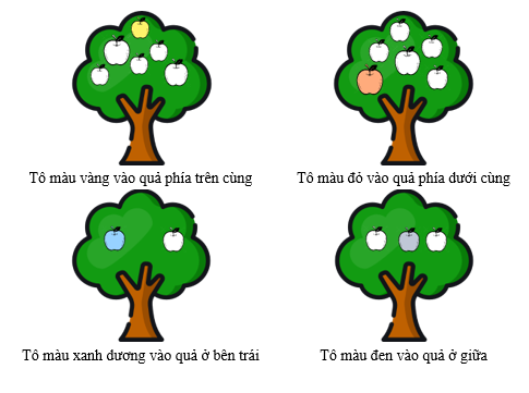 Tô màu theo yêu cầu: (ảnh 2)