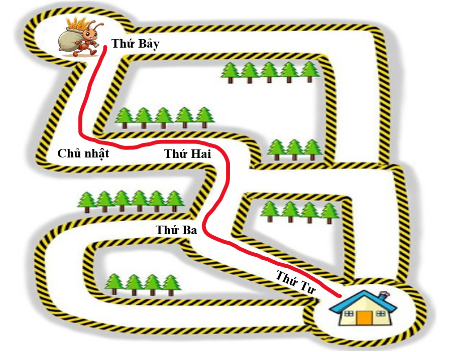 Viết các ngày trong tuần thích hợp vào chỗ chấm rồi vẽ đường giúp Kiến thoát khỏi mê cung để về nhà. (ảnh 2)
