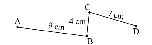 Đường gấp khúc ABCD dài là: (ảnh 1)