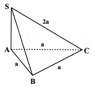 Cho hình chóp S.ABC có đáy là tam giác đều cạnh a,SA vuông góc (ABC) và SC = 2a. Tính thể tích khối chóp S.ABC. (ảnh 1)