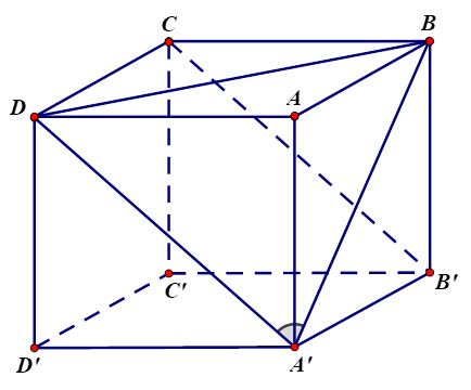 Cho hình lập phương ABCD.A'B'C'D', góc giữa hai đường thẳng A'B và B'C là (ảnh 1)