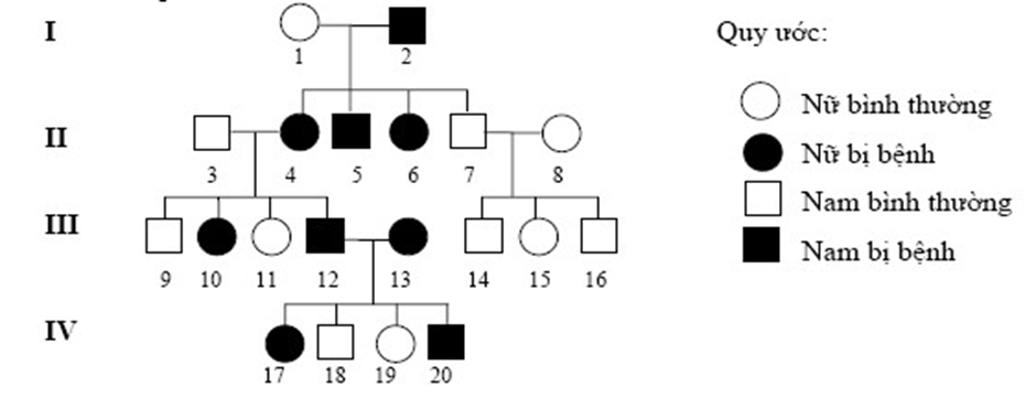 Cho sơ đồ phả hệ sau:	   Sơ đồ phả hệ trên mô tả sự di truyền một bệnh ở người do một trong hai allele của một gen quy định (ảnh 1)