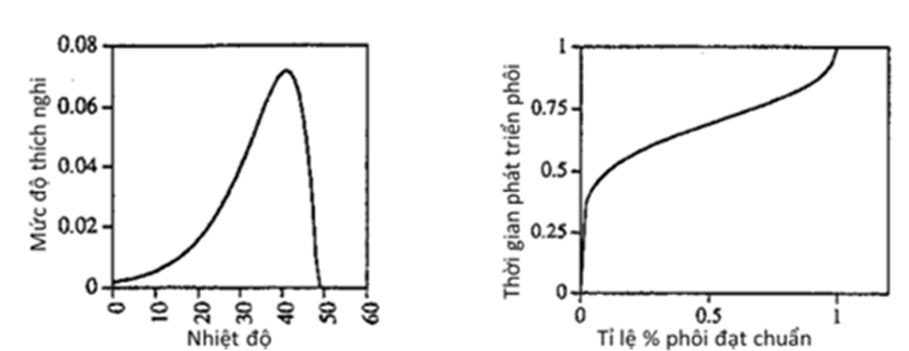 Hình ảnh trên thể hiện mối quan hệ giữa nhiệt độ và mức độ thích nghi, cũng như thời gian phát triển phôi ở các giai đoạn khác nhau ở loài châu chấu M. Sanguinipes (ảnh 1)