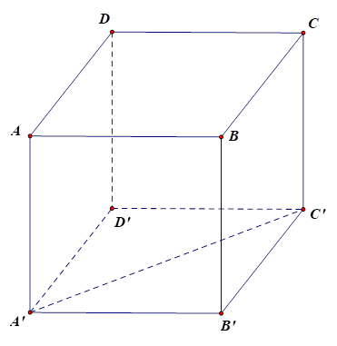 Cho khối lập phương ABCD.A'B'C'D'. Đoạn vuông góc chung của hai đường thẳng chéo nhau AD và A'C' là (ảnh 1)