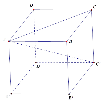 Cho hình hộp chữ nhật ABCD.A'B'C'D' có AD = 2a, CD = a,AA' = a căn bậc hai 2 . Đường chéo AC' có độ dài bằng (ảnh 1)