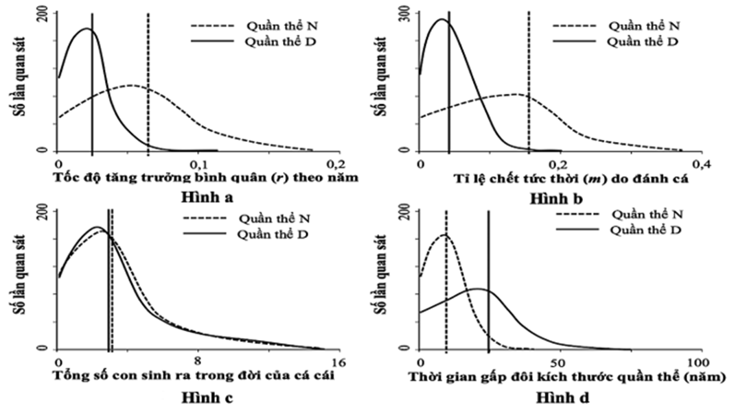 Cá mập trắng là động vật ăn thịt ở mắt xích cao trong chuỗi thức ăn, nhưng chúng cũng bị tác động bởi các hoạt động đánh cá của con người. Một nghiên cứu được thực hiện nhằm tìm hiểu các đặc điểm lịch sử đời sống (ảnh 1)