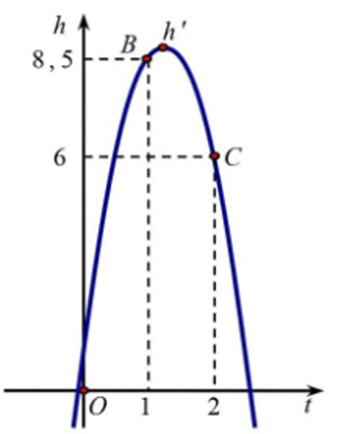 Khi quả bóng được đá lên, nó sẽ đạt độ cao nào đó rồi rơi xuống đất (ảnh 1)