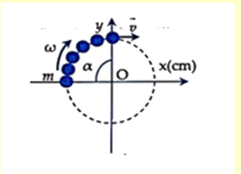 Vật nặng có khối lượng m = 200g chuyển động tròn đều tâm O trong mặt phẳng Oxy với tốc độ góc ω = π(rad/s) (ảnh 2)