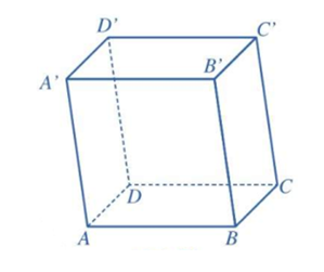 Cho hình hộp ABCD.A'B'C'D' như hình vẽ. (ảnh 1)