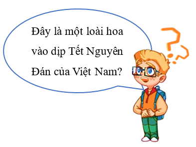 Em hãy giải ô chữ bằng cách thực hiện các phép tính tương ứng để tìm ra loài hoa mà bạn Nam nhắc đến. (ảnh 1)
