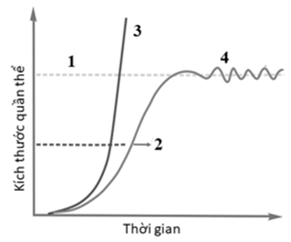 Hình mô tả đường cong tăng trưởng của quần thể sinh vật: (ảnh 1)