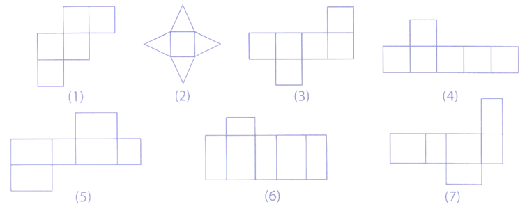 Cho các hình sau: (ảnh 1)