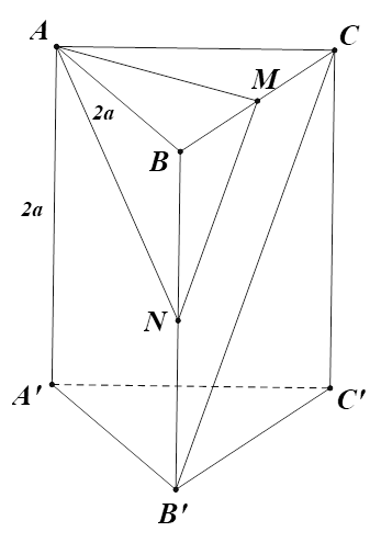 Cho lăng trụ đứng tam giác ABC.A'B'C' có đáy là một tam giác vuông cân tại B, AB = AA' = 2a, M là trung điểm BC. Tính khoảng cách giữa hai đường thẳng AM và B'C. (ảnh 1)