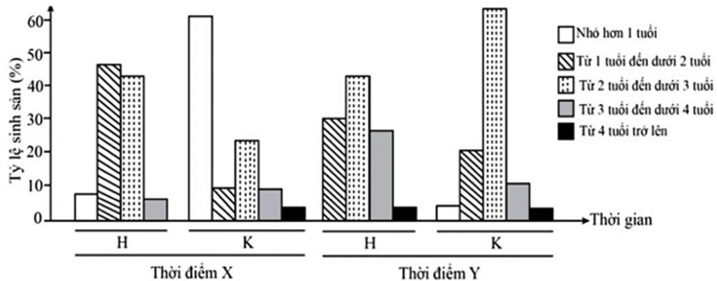 Cá mòi cờ hoa (Clupanodon thrissa) thành thục sau 1 năm tuổi, tuổi sau sinh sản là từ 3 tuổi trở lên. (ảnh 1)