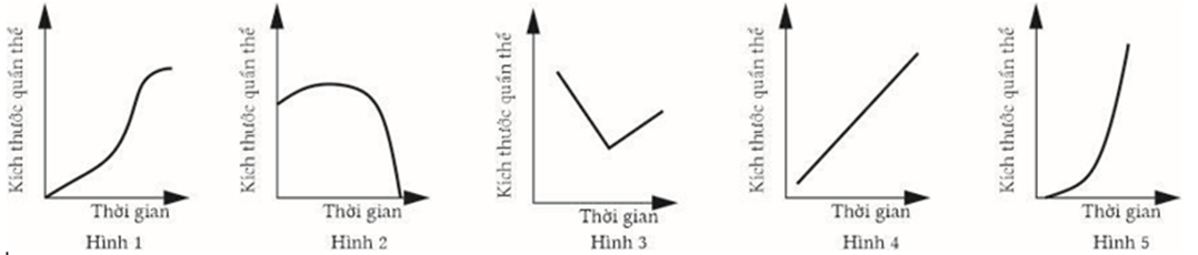 Sơ đồ nào sau đây thể hiện sự tăng trưởng của quần thể có nguồn sống không bị giới hạn? (ảnh 1)