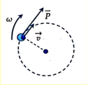Vật nặng có khối lượng m = 200g chuyển động tròn đều tâm O trong mặt phẳng Oxy với tốc độ góc ω = π(rad/s) (ảnh 3)