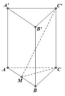 Cho hình lăng trụ đều ABC.A'B'C' có tất cả các cạnh bằng a. Gọi M là trung điểm của AB và alpha là góc tạo bởi đường thẳng MC' và mặt phẳng (ABC). Khi đó tan alpha . (ảnh 1)