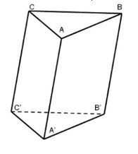Cho hình lăng trụ tam giác ABC.A'B'C' (hình bên) (ảnh 1)