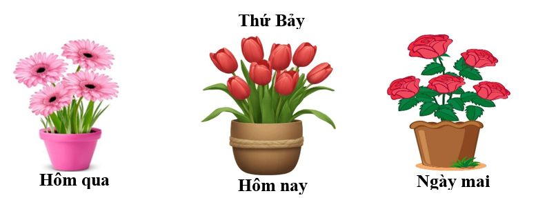 Hãy điền các từ “ thứ Sáu”, “Chủ nhật” vào chỗ trống cho phù hợp. (ảnh 2)