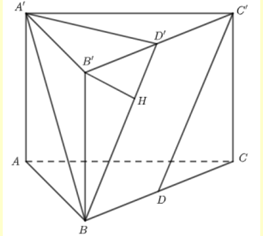 Cho lăng trụ đứng ABC.A'B'C' có đáy ABC là tam giác đều cạnh (ảnh 1)