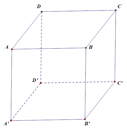 Cho hình hộp đứng ABCD.A’B’C’D’ đáy ABCD là hình thoi. Chọn khẳng định sai. (ảnh 1)