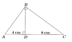Cho tam giác \(ABC\) vuông tại \(B\) có đường cao \(BD\), biết (ảnh 1)