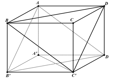 Cho hình hộp ABCD.A'B'C'D' (tham khảo hình vẽ bên dưới). (ảnh 1)