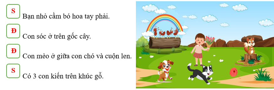 Đúng ghi Đ, sai ghi S: (ảnh 2)