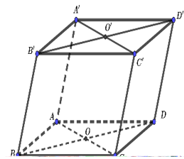 Cho hình hộp ABCD.A'B'C'D'. Gọi O và O' lần lượt là tâm của hai đáy ABCD và A'B'C'D (ảnh 1)