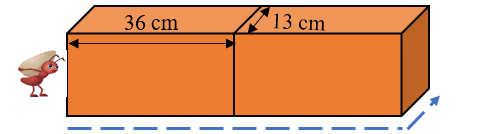 Một con kiến mang thức ăn về tổ theo đường mũi tên như hình vẽ. Hỏi quãng đường kiến bò là bao nhiêu? (ảnh 1)