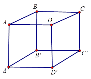 Cho hình lập phương ABCD.A'B'C'D'. Khẳng định nào sau đây sai? (ảnh 1)