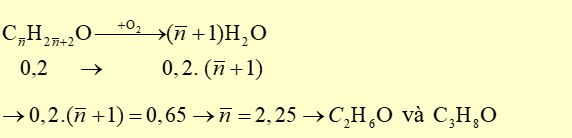 Hỗn hợp X gồm hai alcohol đơn chức kế tiếp nhau trong dãy đồng đẳng. Đốt cháy hoàn toàn 0,2 mol hỗn hợp X thu được 0,65 mol H2O (ảnh 1)