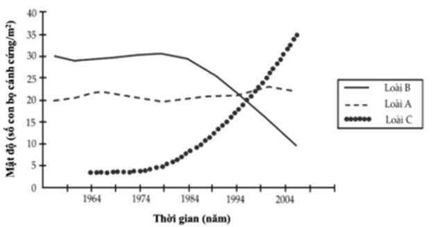 Theo nghiên cứu, hai loài bọ cánh cứng ăn lá (A và B) đã tồn tại trên một hòn đảo biệt lập ở Thái Bình Dương trong hơn 100.000 năm (ảnh 1)